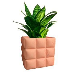 Doniczka Cubic Pillow 10cm