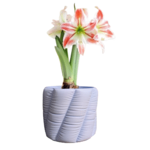 Doniczka Round Pillow 10cm